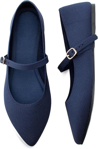 Women Pointed Toe Ballet Flats | Comfortable Office Shoes | ShehniStyle