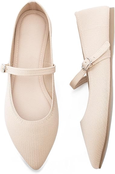 Women Pointed Toe Ballet Flats | Comfortable Office Shoes | ShehniStyle