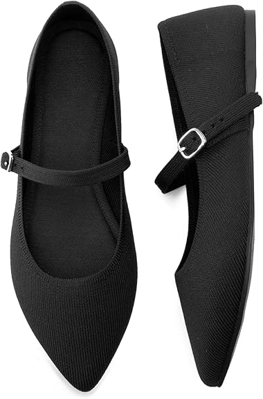 Women Pointed Toe Ballet Flats | Comfortable Office Shoes | ShehniStyle