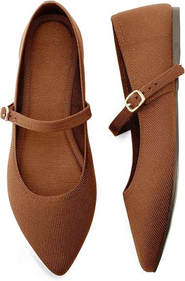 Women Pointed Toe Ballet Flats | Comfortable Office Shoes | ShehniStyle